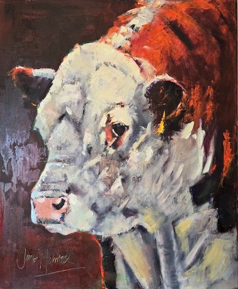 Jane MacIntosh | Stare me  down | Hereford Bull | McAtamney Gallery and Design Store | Geraldine NZ